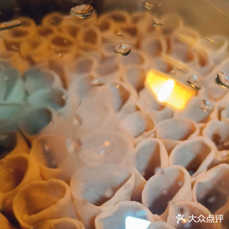 自制莜面窝窝，感觉这次比西贝好吃[得意]