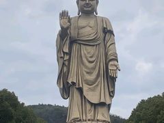 -中原大佛景区
