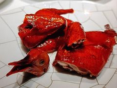 脆皮妙龄鸽-新荣记(新源南路店)