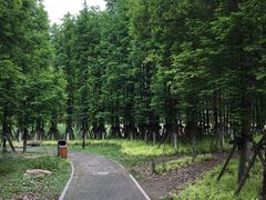 -贵阳市花溪国家城市湿地公园