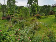 -枫香湖儿童公园