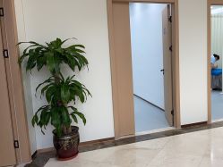 -上海伊莱美医疗美容医院