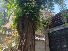 -湘子庙