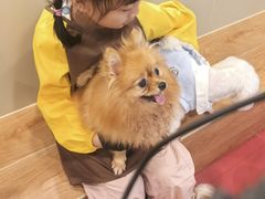 -和它·交个朋友·狗咖猫咖(爱琴海店)