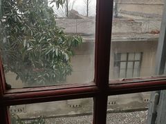 -上海佘山国家森林公园西佘山园