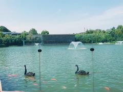 -春晖园度假酒店温泉