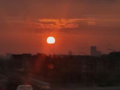 -东河市场