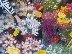 -循礼门鲜花花市(武汉循礼门店)