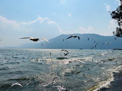 -海埂大坝