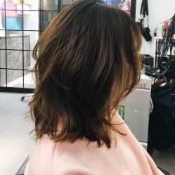 中发-SALON V