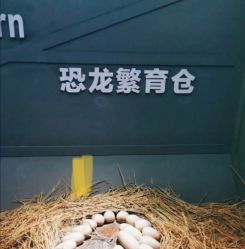 -恐龙探索乐园(磁器口店)