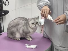 -贝康宠物医院·犬猫全科·小动物特色诊疗中心(东环路店)