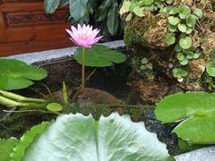 -海窝子古镇