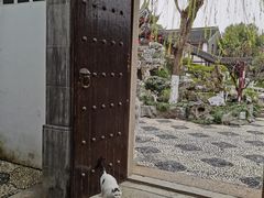 -檀园