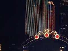 -武汉知音号