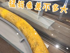 -泗洪县文化艺术中心