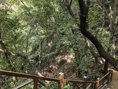 -大岭沟猕猴桃谷风景区