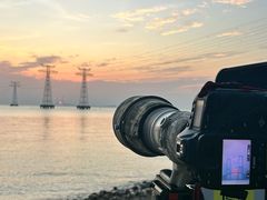 -宝安西湾红树林湿地公园