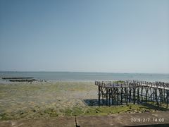 -北海金海湾红树林生态旅游区