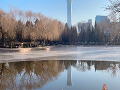 -团结湖公园