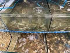 -蟹谢蒸鲜自助餐厅