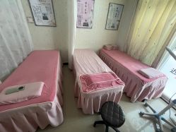 -程氏苗堂苗技养生