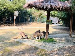 -宁波野生动物园