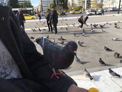 -宪法广场