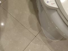 -春兰国宾馆(凤城河风景区老街店)