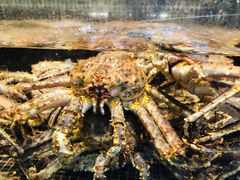 -海鲜e族(马王堆店)