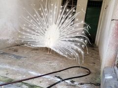 -攀枝花公园