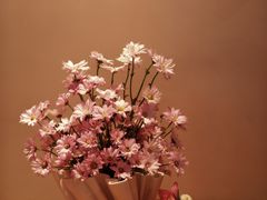 -amuse 灵感甜品 匠心蛋糕