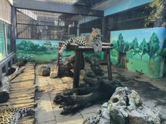 -昆明动物园
