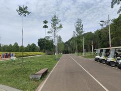 -白鹭湾湿地公园