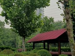 -重庆彩云湖湿地公园