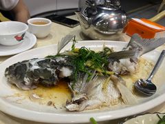 -开心农家菜