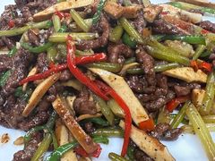 -丁老爷子苏香圆