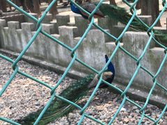 -南京金牛湖风景区