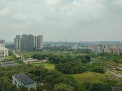 -王借岗森林公园