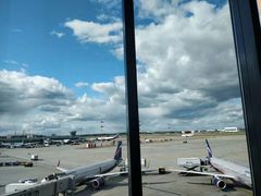 -谢列梅捷沃国际机场