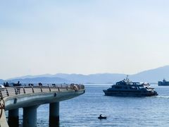 -演武大桥观景平台