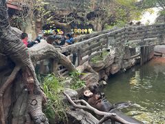 -长鹿旅游休博园