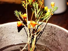 -喜晋道面馆(华严寺广场店)