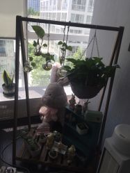 -Hi Skin皮肤管理中心