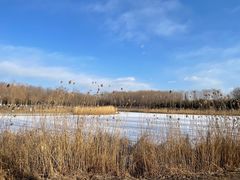 -大兴滨河森林公园