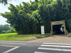 -采石矶景区
