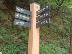 -阳台山自然风景区