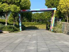 -春花秋色城市公园