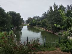 -大兴滨河森林公园