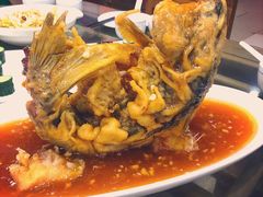 糖醋鲤鱼-会仙楼饭庄(芙蓉街店)